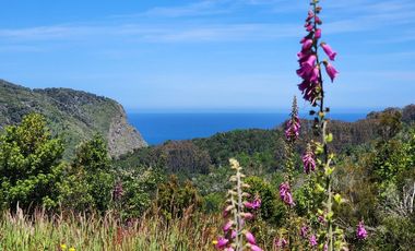 VENTA PARCELA EN ESTAQUILLA