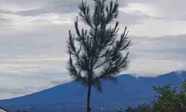Tanah di Jalan Utama Kintamani dekat Penelokan Danau Batur