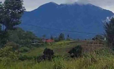 Tanah di Jalan Utama Kintamani dekat Penelokan Danau Batur