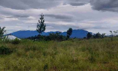 Tanah di Jalan Utama Kintamani dekat Penelokan Danau Batur