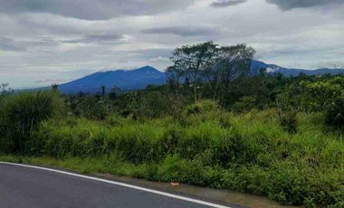 Tanah di Jalan Utama Kintamani dekat Penelokan Danau Batur