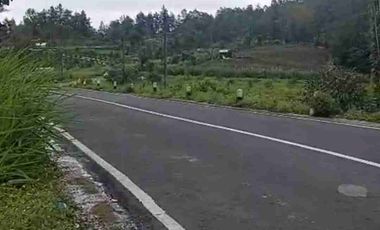 Tanah di Jalan Utama Kintamani dekat Penelokan Danau Batur