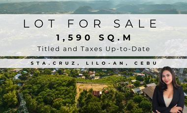 Overlooking 1,590 Sq.m. Lot for sale with Amazing View in Sta.Cruz, Lilo-an, Cebu