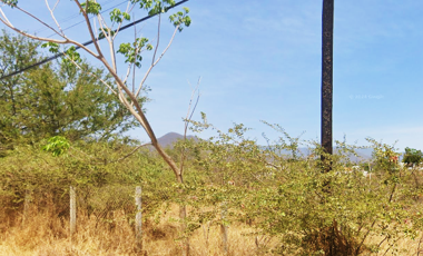 SE VENDE TERRENO BALDIO