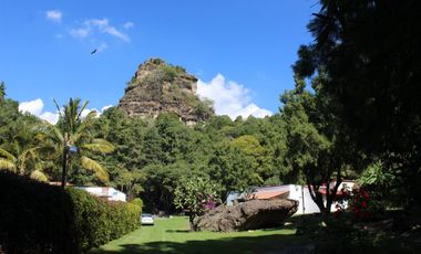 Hermosa propiedad con amplio jardín en Tepoztlán, Morelos rodeada de árboles frutales