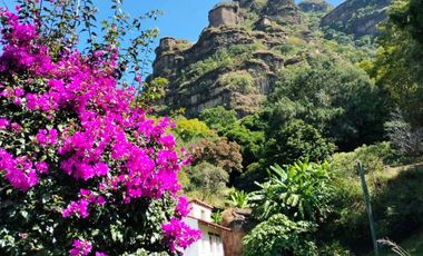 Hermosa propiedad con amplio jardín en Tepoztlán, Morelos rodeada de árboles frutales