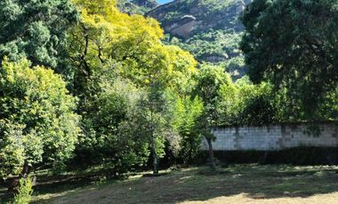 Hermosa propiedad con amplio jardín en Tepoztlán, Morelos rodeada de árboles frutales