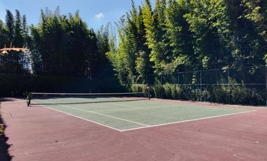 Hermosa propiedad con amplio jardín en Tepoztlán, Morelos rodeada de árboles frutales