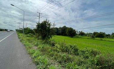 Land for sale, divided 1 rai 3.8MB, next to the 4 lane road, 13 km into the city. Nong Kaeo Subdistrict, Mueang District, Sisaket