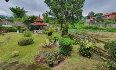 Villa Puncak Cipanas Bukit Mas