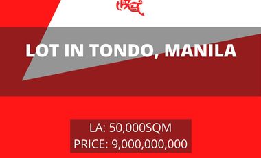 Lot for Sale in Tondo, Manila