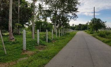 Farm Lot for Sale in Rosario Batangas