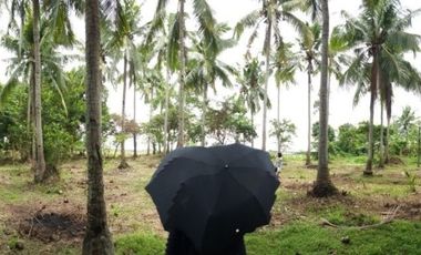 Farm Lot for Sale in Rosario Batangas