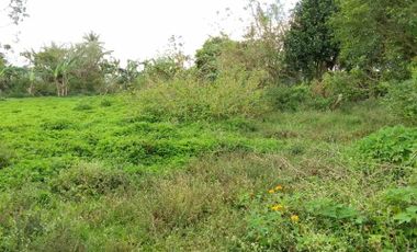Don't Miss Out on this Spectacular Lot! 🌿 Prime Land for Sale in Villa Severina Subd, Tagaytay! 🌄