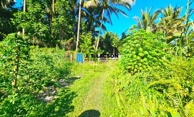 Own Your Dream Land in the Serene Hills of Valencia, Negros Oriental