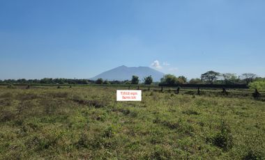 Farm Lots for Sale near Angeles-Magalang Road!