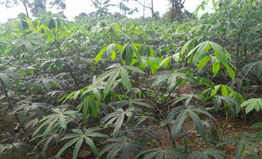 vendo linda finca en viota cumdinamarca