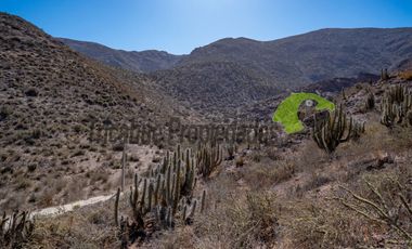 Parcelas  con agua de riego y electricidad lista para instalar. Sector La Calera, Valle del Elqui. Desde $29 millones