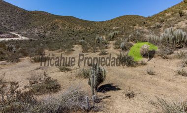 Parcelas  con agua de riego y electricidad lista para instalar. Sector La Calera, Valle del Elqui. Desde $29 millones