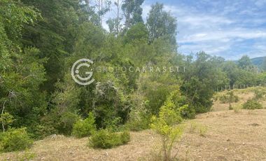 CAMPO CON ACCESO A RIO CERCANO A LA UNION