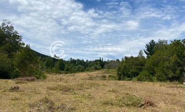 CAMPO CON ACCESO A RIO CERCANO A LA UNION