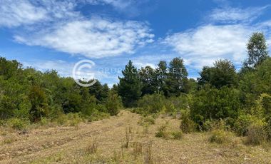 CAMPO CON ACCESO A RIO CERCANO A LA UNION
