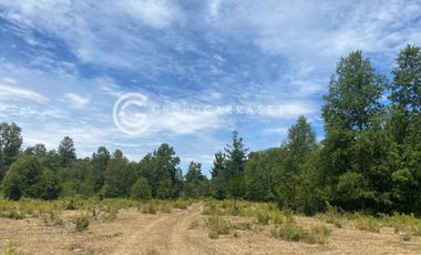 CAMPO CON ACCESO A RIO CERCANO A LA UNION