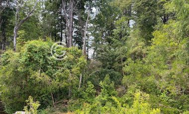 CAMPO CON ACCESO A RIO CERCANO A LA UNION