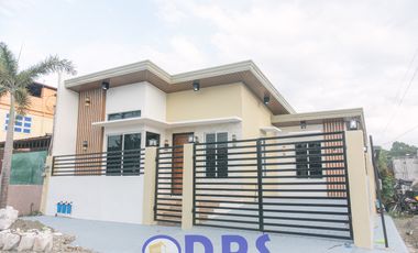 Modern, brand new Ready to Occupy House for Sale  in Deca Homes Indangan Davao City