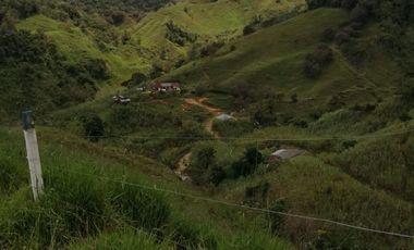 Venta Finca Ganadera y Agrícola San Roque Antioquia