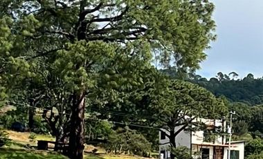 Lotes en Fracc. Jardines de Santa Elena