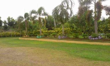 For Sale HOUSE & LOT WITH FARM IN DAVAO DEL NORTE