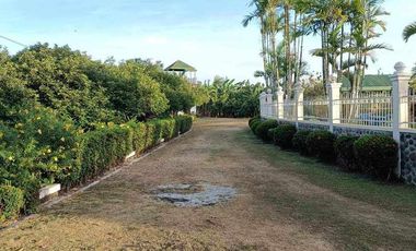 For Sale HOUSE & LOT WITH FARM IN DAVAO DEL NORTE
