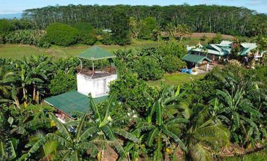 For Sale HOUSE & LOT WITH FARM IN DAVAO DEL NORTE