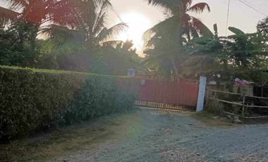 For Sale HOUSE & LOT WITH FARM IN DAVAO DEL NORTE