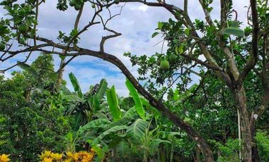 For Sale HOUSE & LOT WITH FARM IN DAVAO DEL NORTE