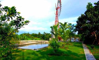 For Sale HOUSE & LOT WITH FARM IN DAVAO DEL NORTE
