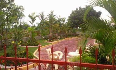For Sale HOUSE & LOT WITH FARM IN DAVAO DEL NORTE