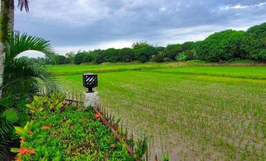 For Sale HOUSE & LOT WITH FARM IN DAVAO DEL NORTE