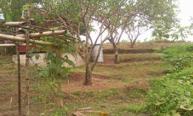 For Sale HOUSE & LOT WITH FARM IN DAVAO DEL NORTE