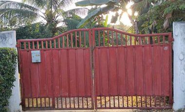 For Sale HOUSE & LOT WITH FARM IN DAVAO DEL NORTE