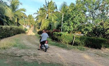 For Sale HOUSE & LOT WITH FARM IN DAVAO DEL NORTE