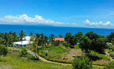 Beach Lot For Sale in Alcoy Cebu 5 years to pay zero interest