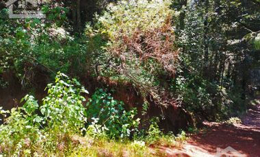 LINDO TERRENO CON VISTAS PANORAMICAS EN LA MONTAÑA DE CARBONERAS
