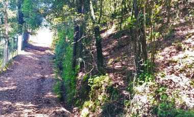 LINDO TERRENO CON VISTAS PANORAMICAS EN LA MONTAÑA DE CARBONERAS