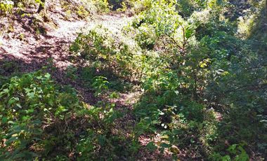 LINDO TERRENO CON VISTAS PANORAMICAS EN LA MONTAÑA DE CARBONERAS