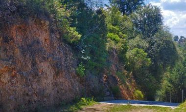 LINDO TERRENO CON VISTAS PANORAMICAS EN LA MONTAÑA DE CARBONERAS