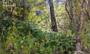 LINDO TERRENO CON VISTAS PANORAMICAS EN LA MONTAÑA DE CARBONERAS