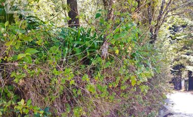 LINDO TERRENO CON VISTAS PANORAMICAS EN LA MONTAÑA DE CARBONERAS