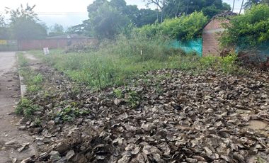 VENDO EXCELENTE LOTE JAMUNDI - 266.464 MT2 -CIUDAD DE DIOS 2